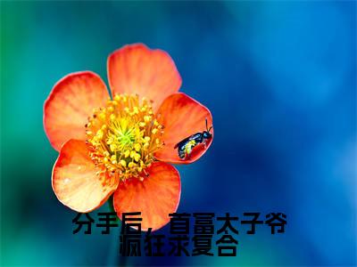《陆风晴霍怀安》分手后,首富太子爷疯狂求复合(热推新书)-抖音热推分手后,首富太子爷疯狂求复合无弹窗阅读