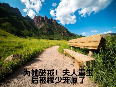 江宁为她破戒!夫人重生后被穆少宠疯了全文免费完整版,江宁最新章节完整版阅读