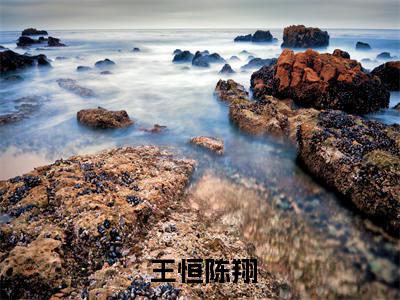 震惊！记忆解封，我竟是回归者小说全文免费阅读无弹窗大结局_( 王恒陈翔)震惊！记忆解封，我竟是回归者小说全文免费无弹窗最新章节列表_笔趣阁