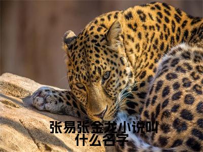 我真的是捡漏王（ 张易张金龙）全文免费阅读无弹窗- 张易张金龙小说完整版在线阅读