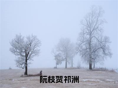 贺祁洲阮枝全文免费阅读_(阮枝贺祁洲免费阅读无弹窗)贺祁洲阮枝最新章节列表笔趣阁(阮枝贺祁洲)