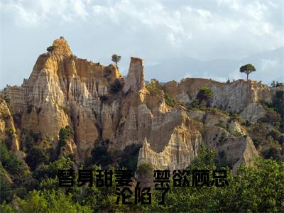 安颜顾承郁小说免费阅读无弹窗《替身甜妻，禁欲顾总沦陷了》_替身甜妻，禁欲顾总沦陷了全文阅读安颜顾承郁