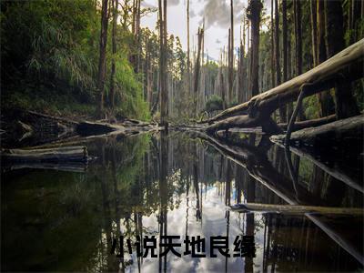天地良缘( 王嘉怡李彩儿)全文免费阅读无弹窗_天地良缘（ 王嘉怡李彩儿）全文阅读-笔趣阁（天地良缘）