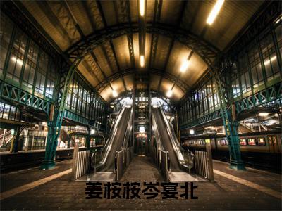 岑宴北姜桉桉小说免费(姜桉桉岑宴北免费阅读)姜桉桉岑宴北全文免费阅读无弹窗大结局_岑宴北姜桉桉小说最新章节列表(姜桉桉岑宴北)