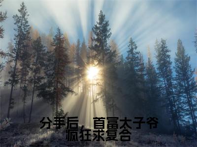 分手后,首富太子爷疯狂求复合(陆风晴霍怀安)全文免费阅读无弹窗大结局_(分手后,首富太子爷疯狂求复合免费阅读无弹窗)陆风晴霍怀安最新章节列表_笔趣阁