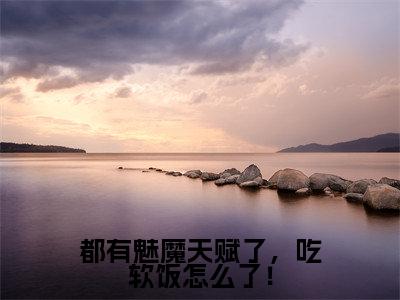 都有魅魔天赋了,吃软饭怎么了!(林恩)小说-都有魅魔天赋了,吃软饭怎么了!小说免费最新章节列表