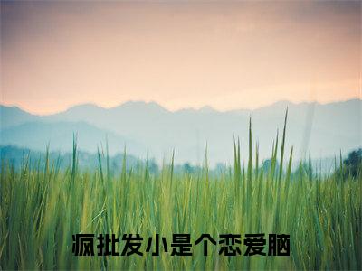 许南席陈挽侬(疯批发小是个恋爱脑)全文免费阅读无弹窗大结局_(疯批发小是个恋爱脑无弹窗)全文完整版免费阅读