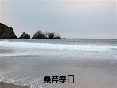 季陸桑芹小说免费阅读-桑芹季陸言情小说季陸桑芹讲的是什么