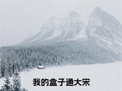 我的盒子通大宋全文免费阅读无弹窗大结局(顾临之)_我的盒子通大宋最新章节列表_笔趣阁(顾临之)