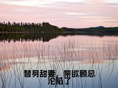 替身甜妻,禁欲顾总沦陷了(安颜顾承郁)全文免费阅读无弹窗大结局_(替身甜妻,禁欲顾总沦陷了)已完结全集大结局小说