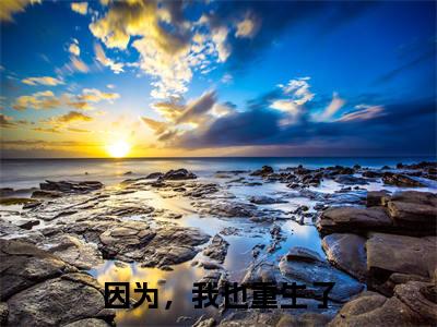 因为，我也重生了（卢怀蕾高默宁）精彩小说-卢怀蕾高默宁全章节免费阅读