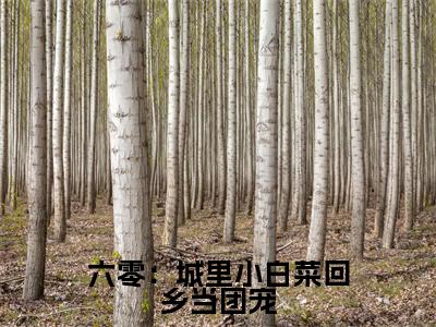 六零:城里小白菜回乡当团宠小说全文免费阅读无弹窗大结局_(颜如玉免费阅读无弹窗)最新章节列表_笔趣阁