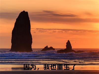 因为，我也重生了（卢怀蕾高默宁）小说免费无弹窗大结局-因为，我也重生了小说全文完整版阅读