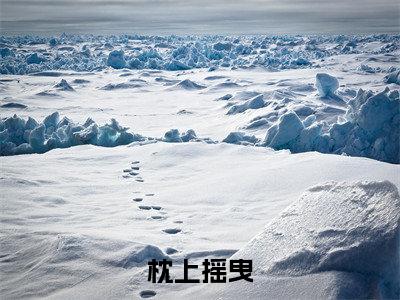 沈肆林疏棠（枕上摇曳）全文免费阅读_枕上摇曳全文阅读_笔趣阁
