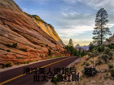 清冷美人逃跑后,疯批太子急红眼 小说最新章节阅读 清冷美人逃跑后,疯批太子急红眼 南栀全文免费阅读最新章节大结局