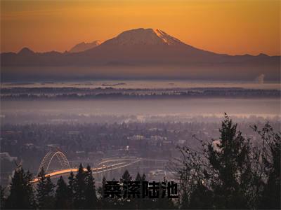桑潆陆池（桑潆陆池）小说在线阅读_桑潆陆池全本免费小说阅读（陆池桑潆）