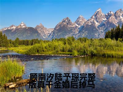  顾南汐陆予琛今日阅读更新，完整版真千金婚后掉马，哥哥们都疯了全文在线看
