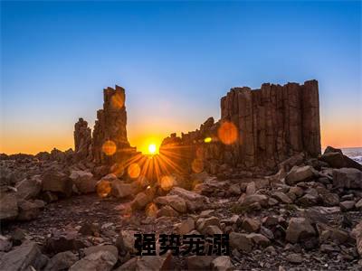 南茉阎绪(强势宠溺)全文免费阅读无弹窗大结局_南茉阎绪免费阅读最新章节列表_笔趣阁