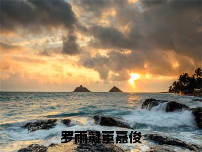 罗雨凝董嘉俊(董嘉俊罗雨凝)全文免费阅读无弹窗大结局_罗雨凝董嘉俊_笔趣阁