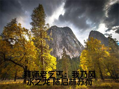 拜师老乞丐：我乃风水之龙全文免费阅读无弹窗, 陈启林苏荷小说最新章节列表无删减_笔趣阁