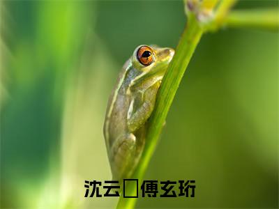 傅玄珩沈云玥新书沈云玥傅玄珩看全文小说-傅玄珩沈云玥小说资源阅读沈云玥傅玄珩