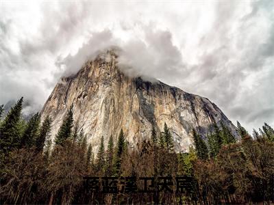 蒋蓝溪卫天宸（卫天宸蒋蓝溪）全文免费阅读无弹窗大结局_卫天宸蒋蓝溪最新章节列表