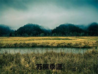 苏锦季渊小说全文-苏锦季渊(季渊苏锦)最新章节免费阅读