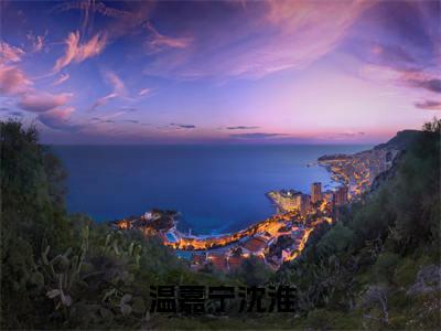 温嘉宁沈淮小说(沈淮温嘉宁)全文免费阅读无弹窗大结局_温嘉宁沈淮完整版最新阅读_笔趣阁(沈淮温嘉宁)