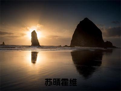 苏晴霍维(霍维苏晴)全文免费阅读无弹窗大结局_苏晴霍维免费最新章节列表_笔趣阁