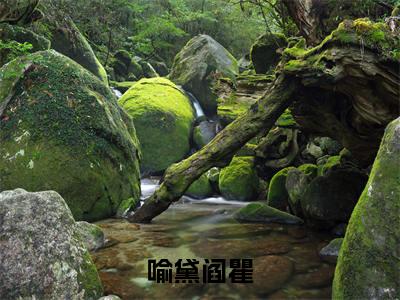 喻黛阎瞿阎瞿喻黛全文小说-喻黛阎瞿小说最新章节免费阅读