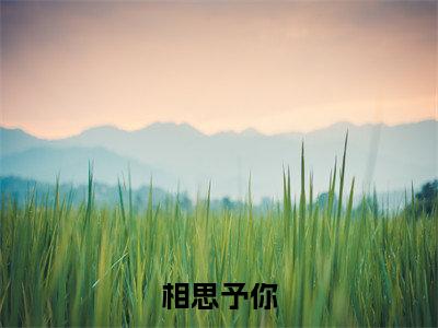 相思予你(沐星辰青瑶)小说全文-相思予你小说免费阅读大结局