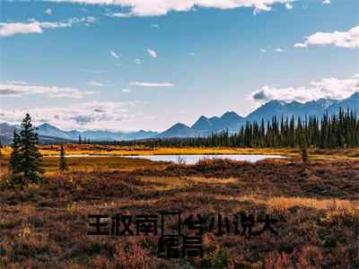 回京后，我洗牌了满城权贵（ 王权南玥兮）老书虫2023良心推荐小说-回京后，我洗牌了满城权贵（ 王权南玥兮）小说精彩免费试读