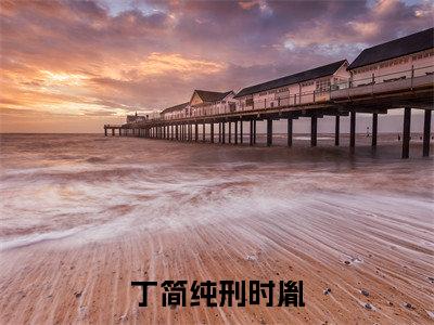 丁简纯刑时胤是什么小说-刑时胤丁简纯全文免费阅读无弹窗大结局(丁简纯刑时胤)最新章节阅读