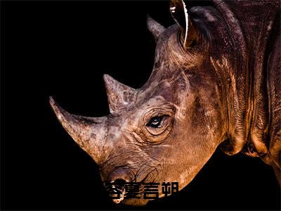 容夏言朔小说全文免费阅读(言朔容夏)全文免费阅读无弹窗大结局_(言朔容夏)容夏言朔小说免费阅读无弹窗最新章节列表_笔趣阁(言朔容夏)