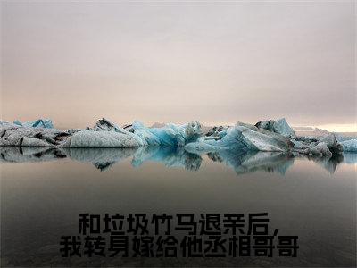 和垃圾竹马退亲后，我转身嫁给他丞相哥哥小说（姜珍贺文书）全文免费和垃圾竹马退亲后，我转身嫁给他丞相哥哥阅读无弹窗大结局-（姜珍贺文书）笔趣阁