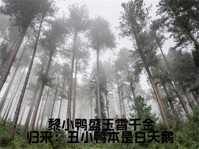 千金归来：丑小鸭本是白天鹅小说限时免费, 黎小鸭盛玉霄完结版小说阅读无弹窗_笔趣阁