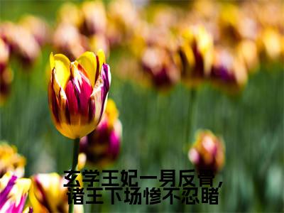 玄学王妃一身反骨,诸王下场惨不忍睹全文免费阅读(夏九黎免费阅读无弹窗)玄学王妃一身反骨,诸王下场惨不忍睹最新章节列表_笔趣阁