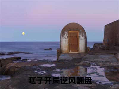  陈安洛诗雨为 陈安洛诗雨的小说叫什么-最新小说瞎子开局逆风翻盘，抱得校花归全文阅读
