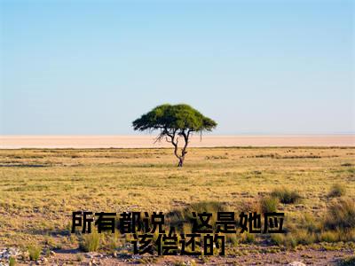 姜言贞钟晋安（所有都说，这是她应该偿还的）今日爆款小说-（姜言贞钟晋安）所有都说，这是她应该偿还的完结大结局免费阅读