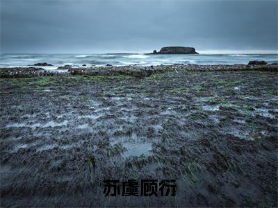 苏虞顾衍(顾衍苏虞)全文免费阅读无弹窗_苏虞顾衍最新小说_笔趣阁(顾衍苏虞)