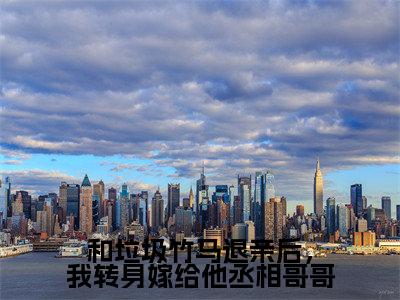 姜珍贺文书(和垃圾竹马退亲后,我转身嫁给他丞相哥哥)全文免费阅读_姜珍贺文书小说最新章节列表笔趣阁