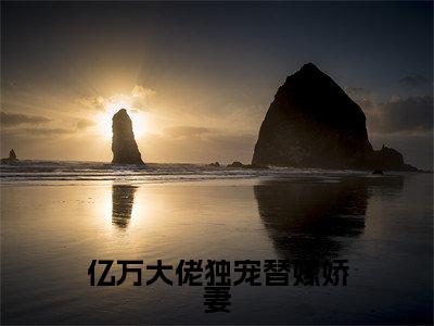 亿万大佬独宠替嫁娇妻(黎洛夜少倾)全文无弹窗阅读-亿万大佬独宠替嫁娇妻(黎洛夜少倾)最新章节完整版阅读