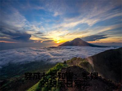 穿成七零知青：军嫂的甜蜜日常（ 黎宴李柒柒）多人追免费无弹窗小说-主角 黎宴李柒柒完整版在线阅读（穿成七零知青：军嫂的甜蜜日常）