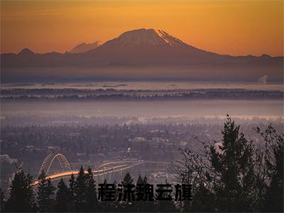 神豪：全美男都成了我的套现工具精彩小说赏析全文  程沫魏云旗热门小说免费阅读