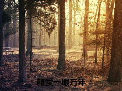 相爱一眼万年(叶汐许焕宸)全文免费阅读无弹窗_(叶汐许焕宸小说全文免费阅读)相爱一眼万年最新章节列表笔趣阁(叶汐许焕宸)