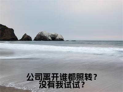 公司离开谁都照转？没有我试试？（ 许一灵李晓丽）全文免费阅读无弹窗大结局_（公司离开谁都照转？没有我试试？）公司离开谁都照转？没有我试试？最新章节列表_笔趣阁（公司离开谁都照转？没有我试试？）