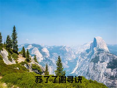 谢寻诀苏了了小说免费阅读-苏了了谢寻诀完整版全文大结局