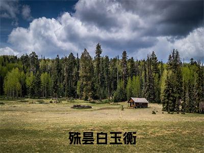 (殊昙白玉衡)白玉衡殊昙新书热荐免费小说全文完整版-白玉衡殊昙知乎小说
