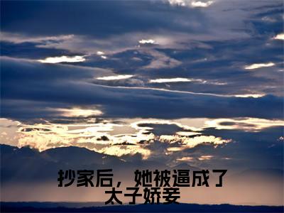 云楚洛抄家后,她被逼成了太子娇妾小说在哪里可以看 抄家后,她被逼成了太子娇妾免费在线阅读