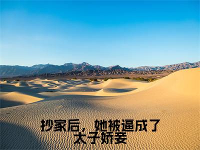 抄家后,她被逼成了太子娇妾全文阅读-(云楚洛)抄家后,她被逼成了太子娇妾小说全文免费阅读_最新章节列表_笔趣阁